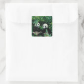 Twee panda's eten samen bamboe, Wolong Vierkante Sticker (Tas)