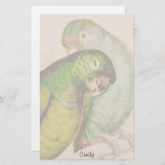 Twee papegaaiachtigen briefpapier (Voorkant / Achterkant)