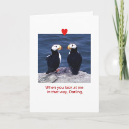 Twee papegaaiduikers verliefd op een hart feestdagen kaart