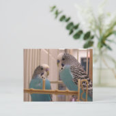 Twee parakeets briefkaart (Staand voorkant)