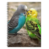 Twee parakeets notitieboek (Voorkant)