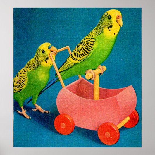 twee paraketten poster (Voorkant)