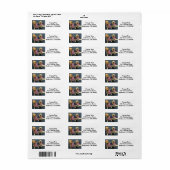 Twee patriottische Goldens Return Address Labels (Full Sheet)