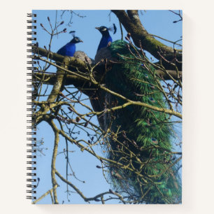 Twee pauwen in een boom notitieboek