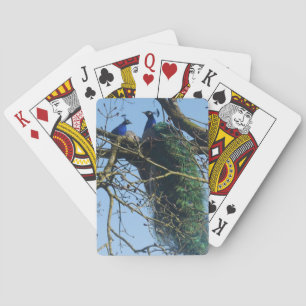 Twee pauwen in een boom Pokerkaarten