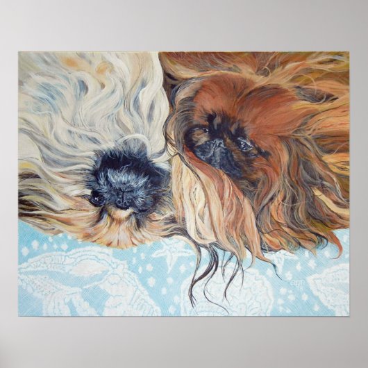 Twee Pekingees honden Poster (Voorkant)