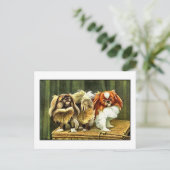 Twee pekingese honden briefkaart (Staand voorkant)
