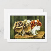 Twee pekingese honden briefkaart (Voorkant / Achterkant)