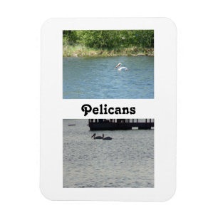 Twee Pelicans flexibele magneet