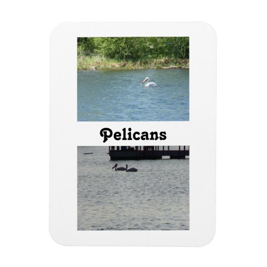 Twee Pelicans flexibele magneet (Verticaal)