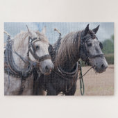 twee percheron's ploegen Puzzle Legpuzzel (Horizontaal)