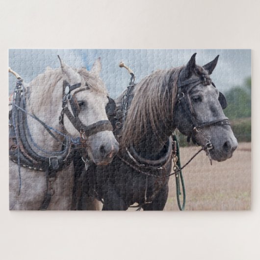 twee percheron's ploegen Puzzle Legpuzzel (Horizontaal)