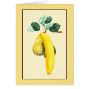 Twee peren en een Banaan