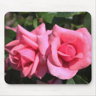 twee perfecte hete roze rozen. liefde muismat