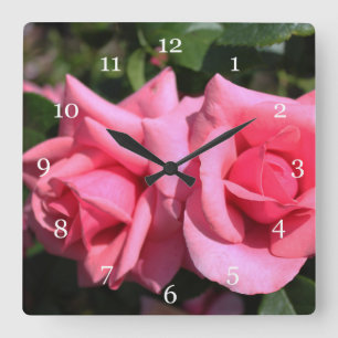 twee perfecte hete roze rozen. liefde vierkante klok