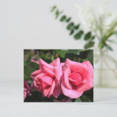 twee perfecte, roze roos bloemen. briefkaart (Staand voorkant)