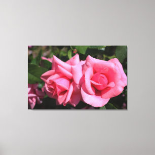 twee perfecte, roze roos bloemen. canvas afdruk