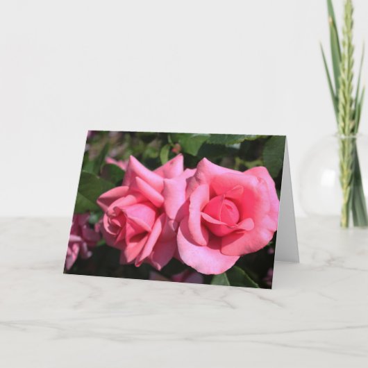 twee perfecte, roze roos bloemen. feestdagen kaart (Voorkant)