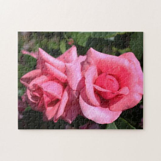 twee perfecte, roze roos bloemen. legpuzzel (Horizontaal)