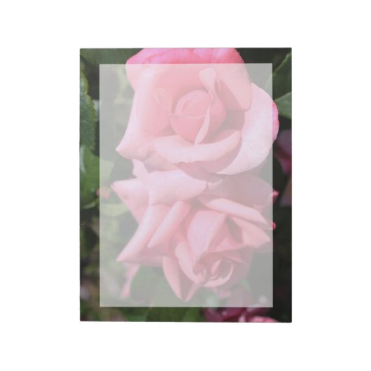 twee perfecte, roze roos bloemen. notitieblok (Linkerzijde)