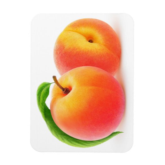 Twee perziken magneet (Verticaal)