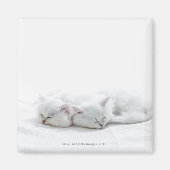 Twee Perzische Kittens Magneet (Voorkant)