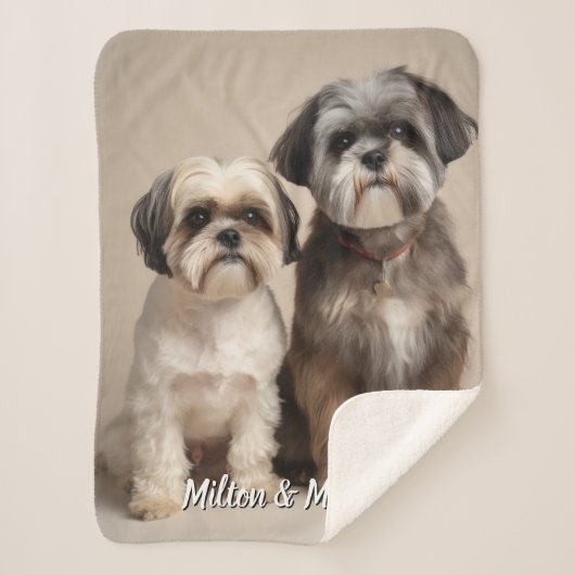 Twee Pet Custom Deken met Foto Memorial Gift (Voorkant)
