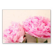 Twee pinda's roze kaart (Achterkant)