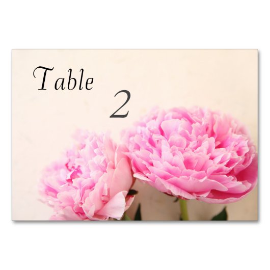 Twee pinda's roze kaart (Voorkant)