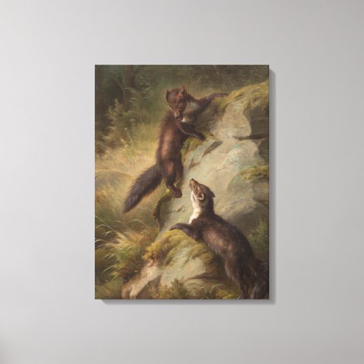 Twee Pine Martens op een rots in het bos Canvas Afdruk (Voorkant)