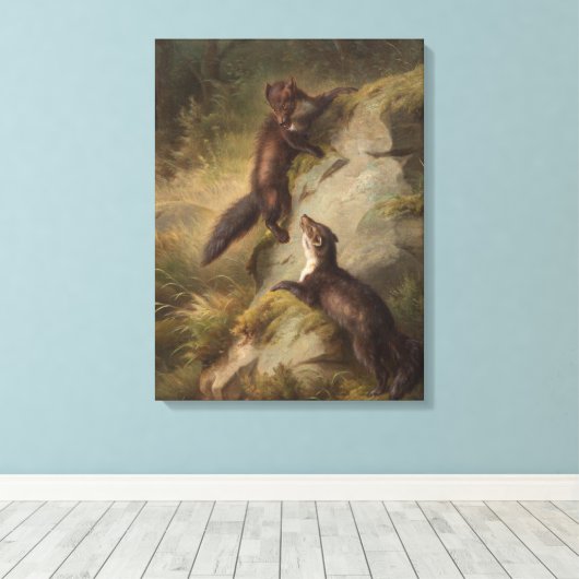 Twee Pine Martens op een rots in het bos Canvas Afdruk (Insitu (Houten vloer))