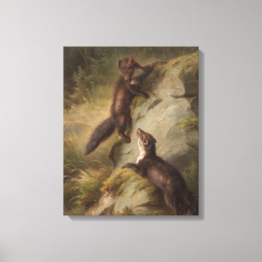 Twee Pine Martens op een rots in het bos Canvas Afdruk (Voorkant)