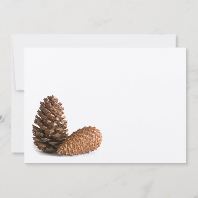 Twee pinecones (Voorkant)