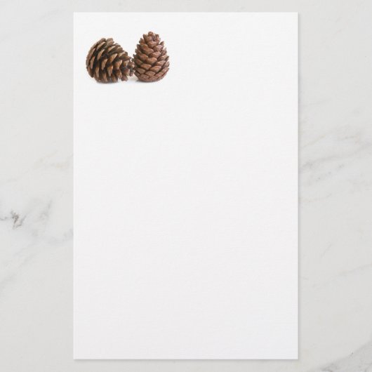 Twee pinecones briefpapier (Voorkant)