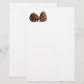 Twee pinecones briefpapier (Voorkant / Achterkant)