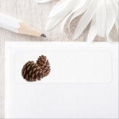 Twee pinecones etiket (Insitu)