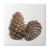 Twee pinecones tegeltje (Voorkant)
