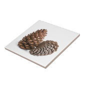 Twee pinecones tegeltje (Zijkant)