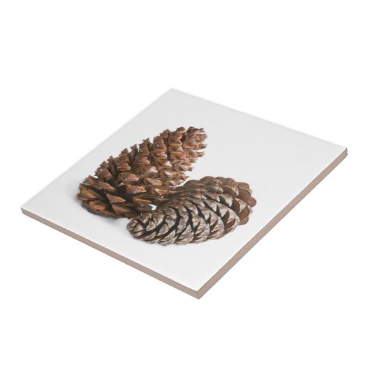 Twee pinecones tegeltje (Zijkant)