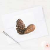 Twee pinecones vierkante sticker (Envelop)