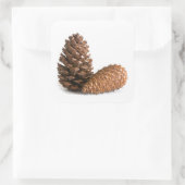 Twee pinecones vierkante sticker (Tas)