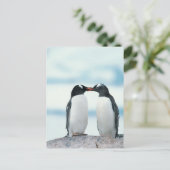 Twee Pinguïnen wat betreft bekken Briefkaart (Staand voorkant)