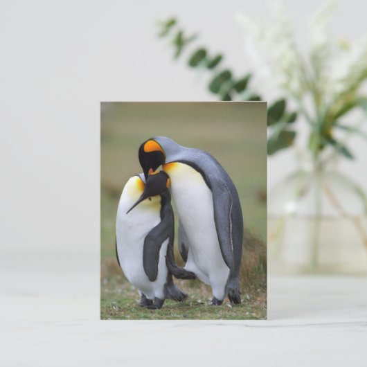Twee pinguïns briefkaart (Staand voorkant)