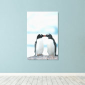 Twee pinguïns die de pieken aanraken canvas afdruk (Insitu (Houten vloer))