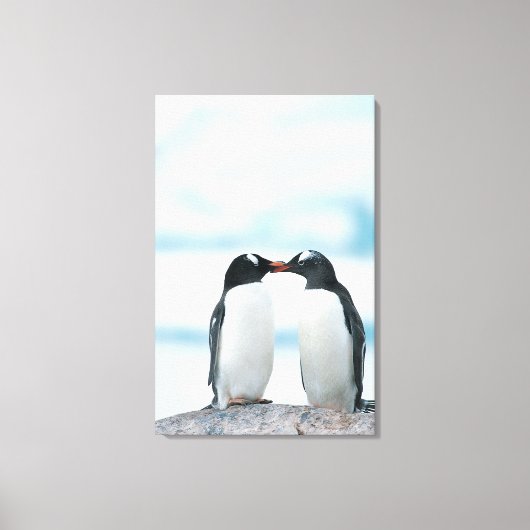 Twee pinguïns die de pieken aanraken canvas afdruk (Voorkant)