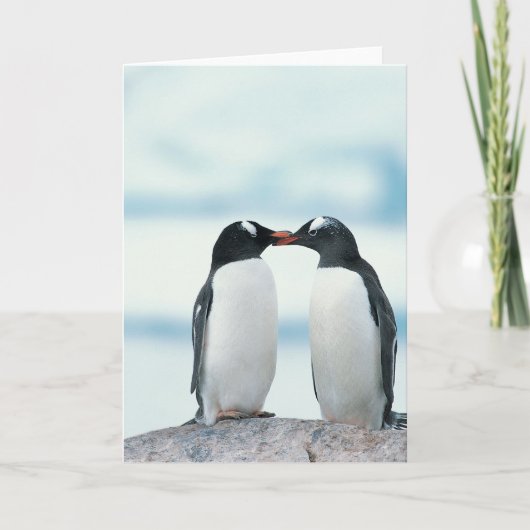 Twee pinguïns die de pieken aanraken kaart (Voorkant)