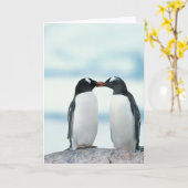 Twee pinguïns die de pieken aanraken kaart (Gele Bloem)