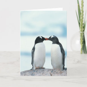 Twee pinguïns die de pieken aanraken kaart