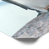 Twee pinguïns die de pieken aanraken poster (Hoek)