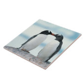 Twee pinguïns die de pieken aanraken tegeltje (Zijkant)